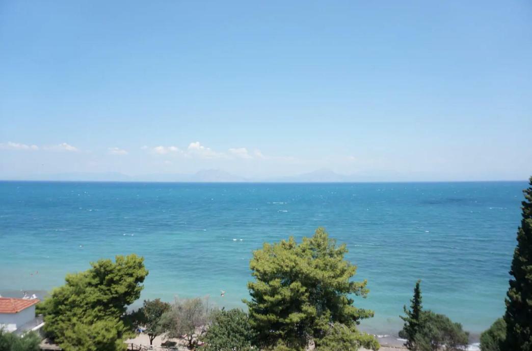 Sea Side Villa Alexandra Alissos 外观 照片